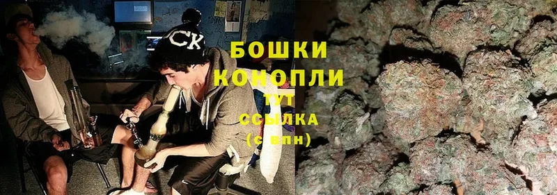 Марихуана SATIVA & INDICA  Никольское 